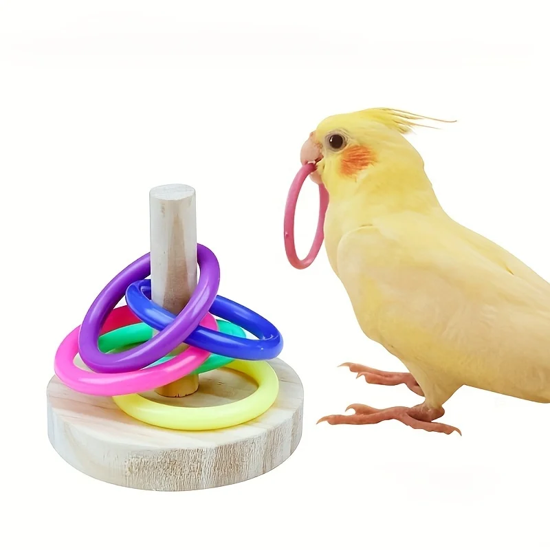 لعبة حلقة الببغاء التفاعلية ال - مراجعة Gymnastic Rings Wooden وسعره